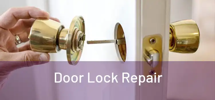Door Lock Repair